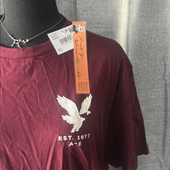American Eagle Outfitters Red Short Sleeve Tee - Picture 3 of 5